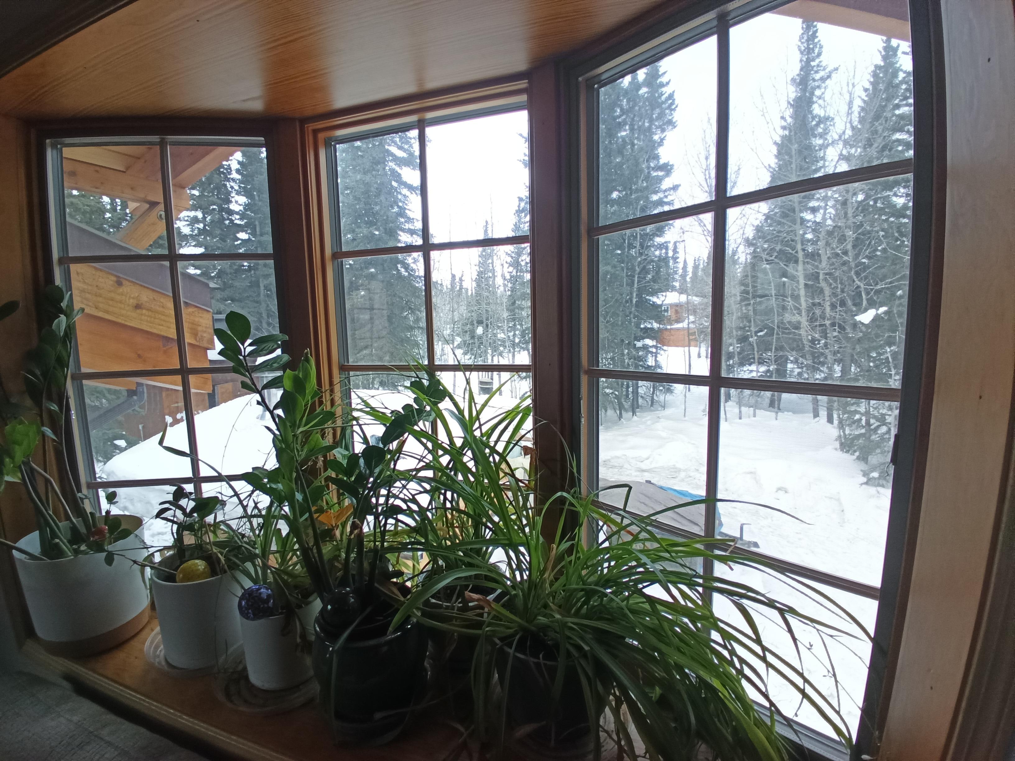 View from the living room window. 