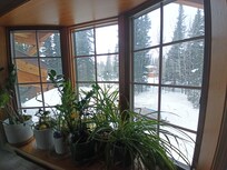 View from the living room window.