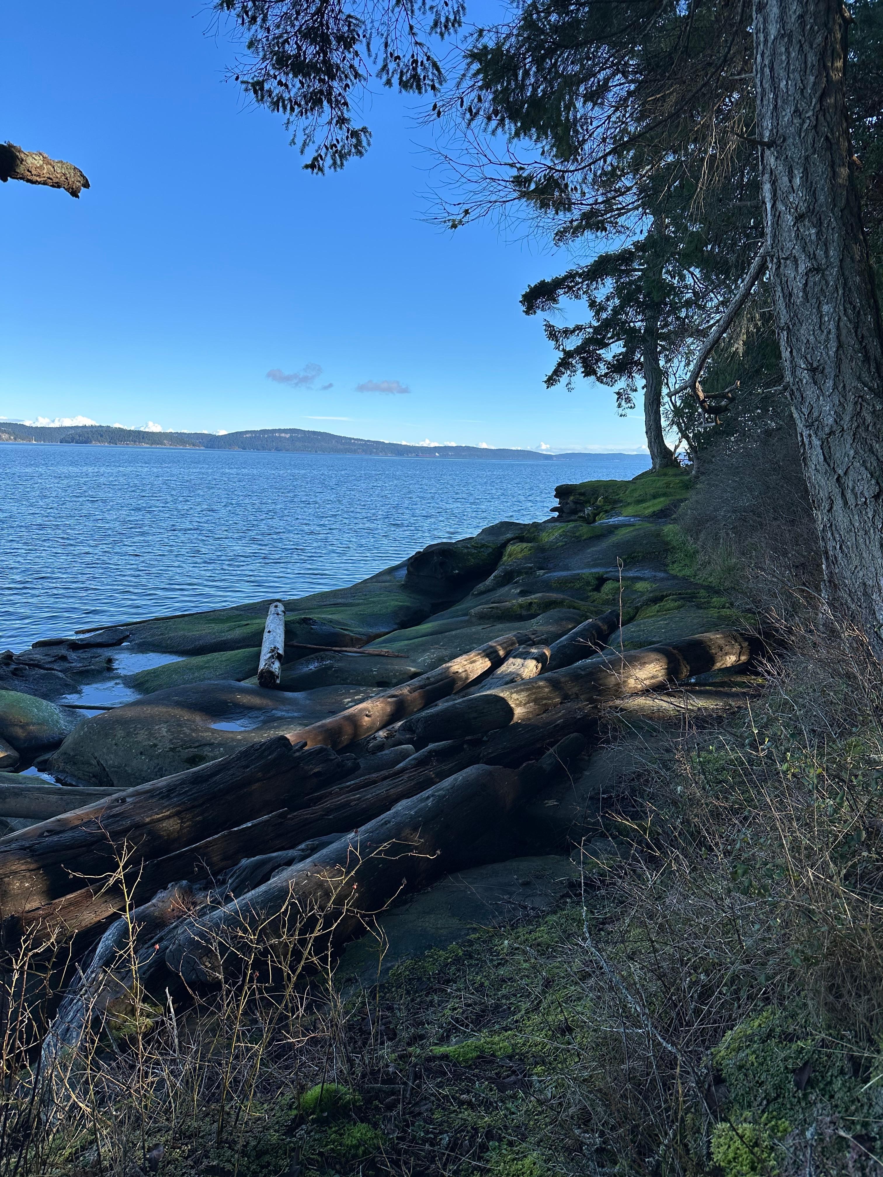 Beach within walking distance. 