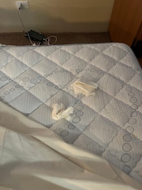 Used tissues under sheets