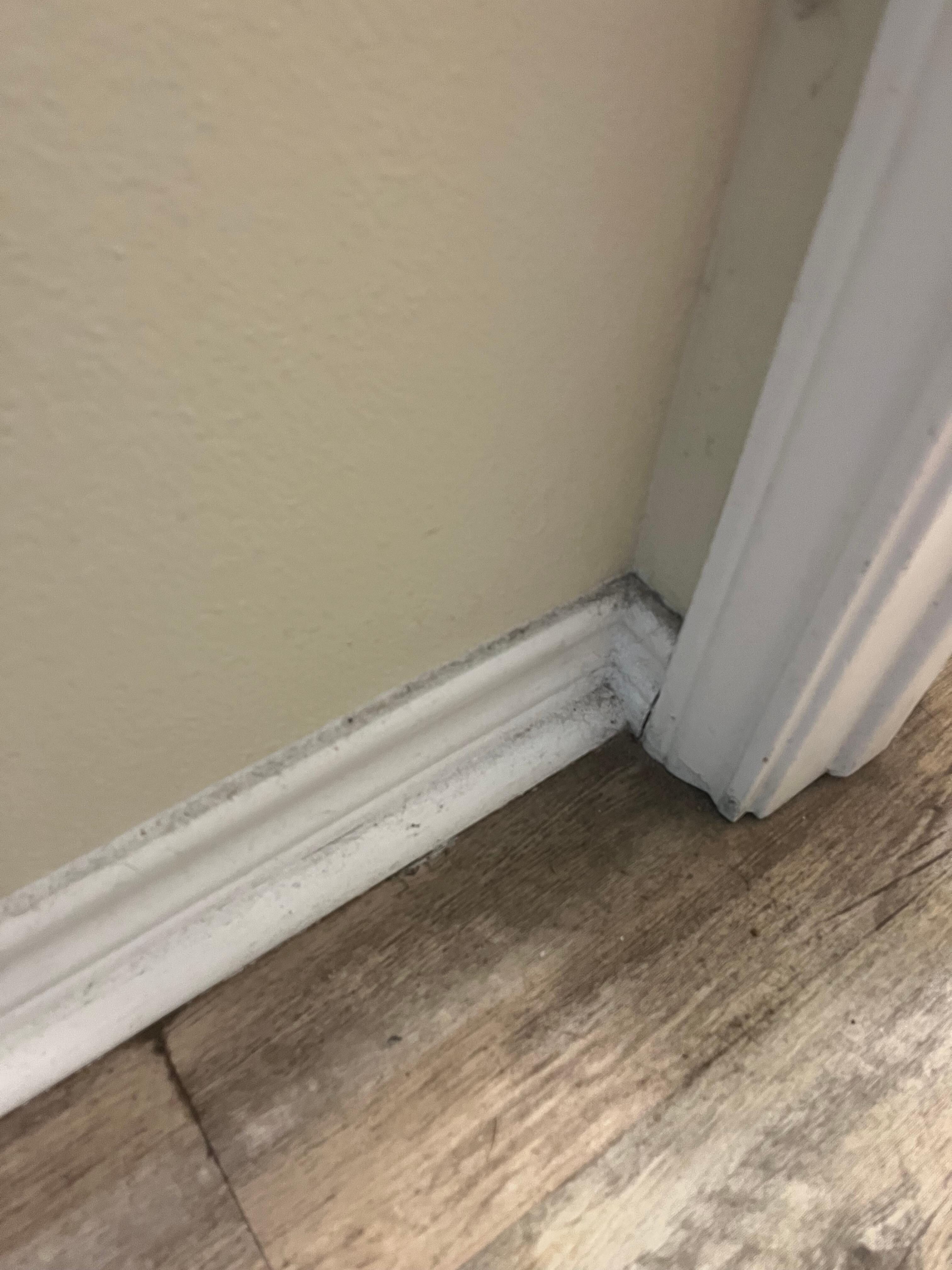 Filthy baseboards 