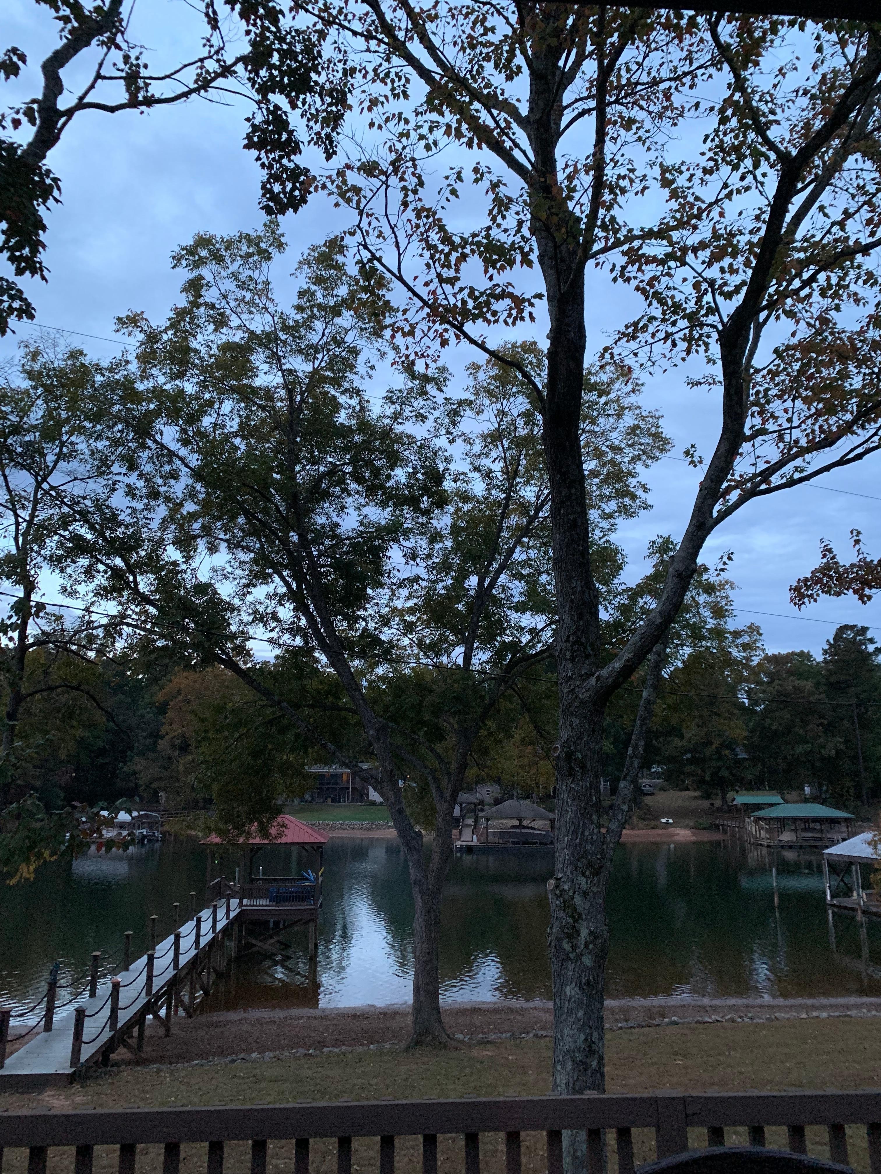 View out the back sliding glass door