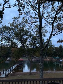 View out the back sliding glass door