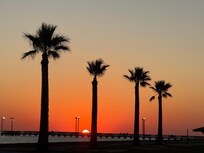 Park on the bay