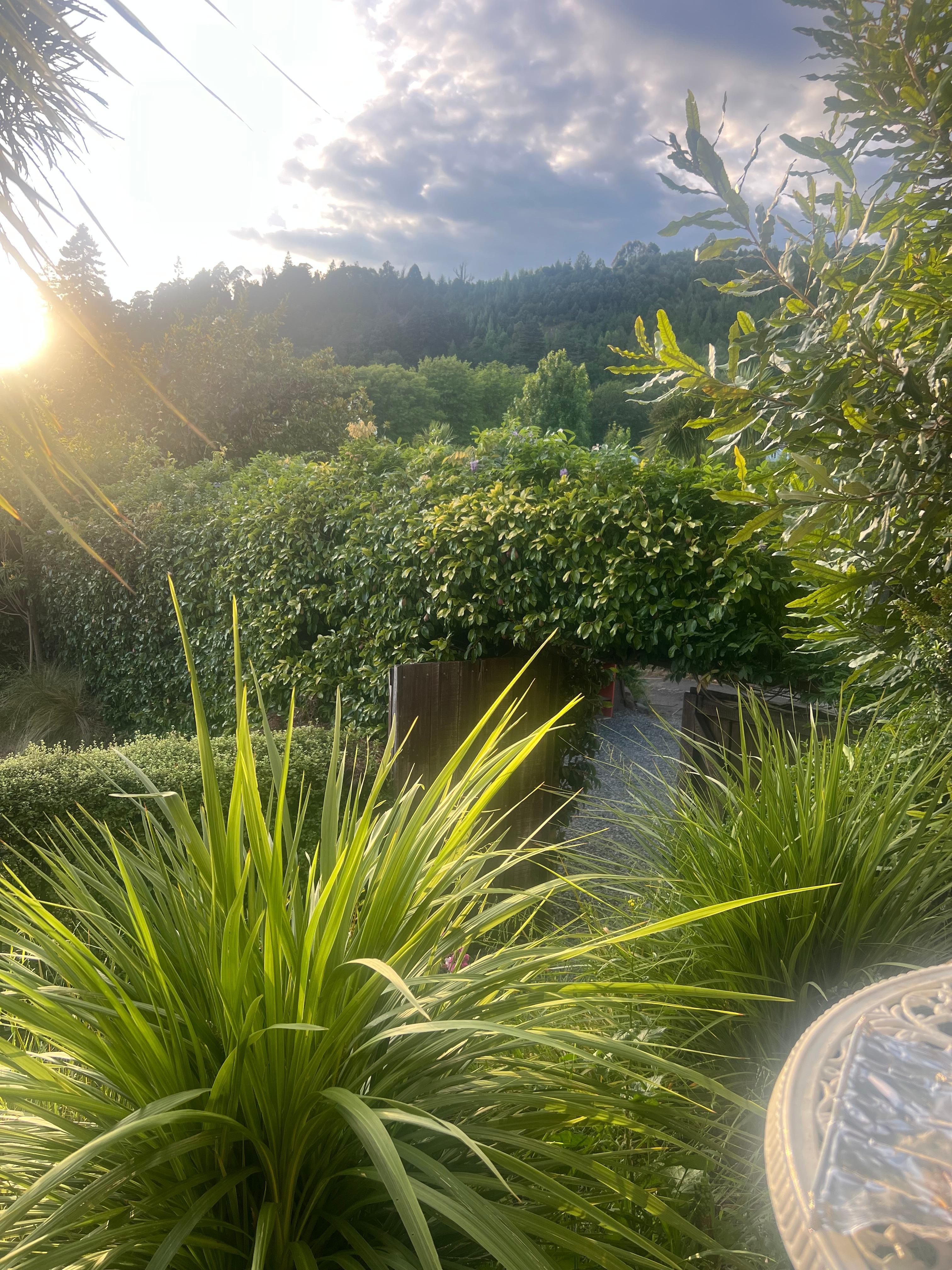 Sitting having a cuppa in the morning looking out from the deck
