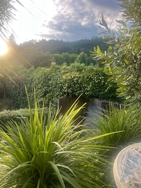 Sitting having a cuppa in the morning looking out from the deck