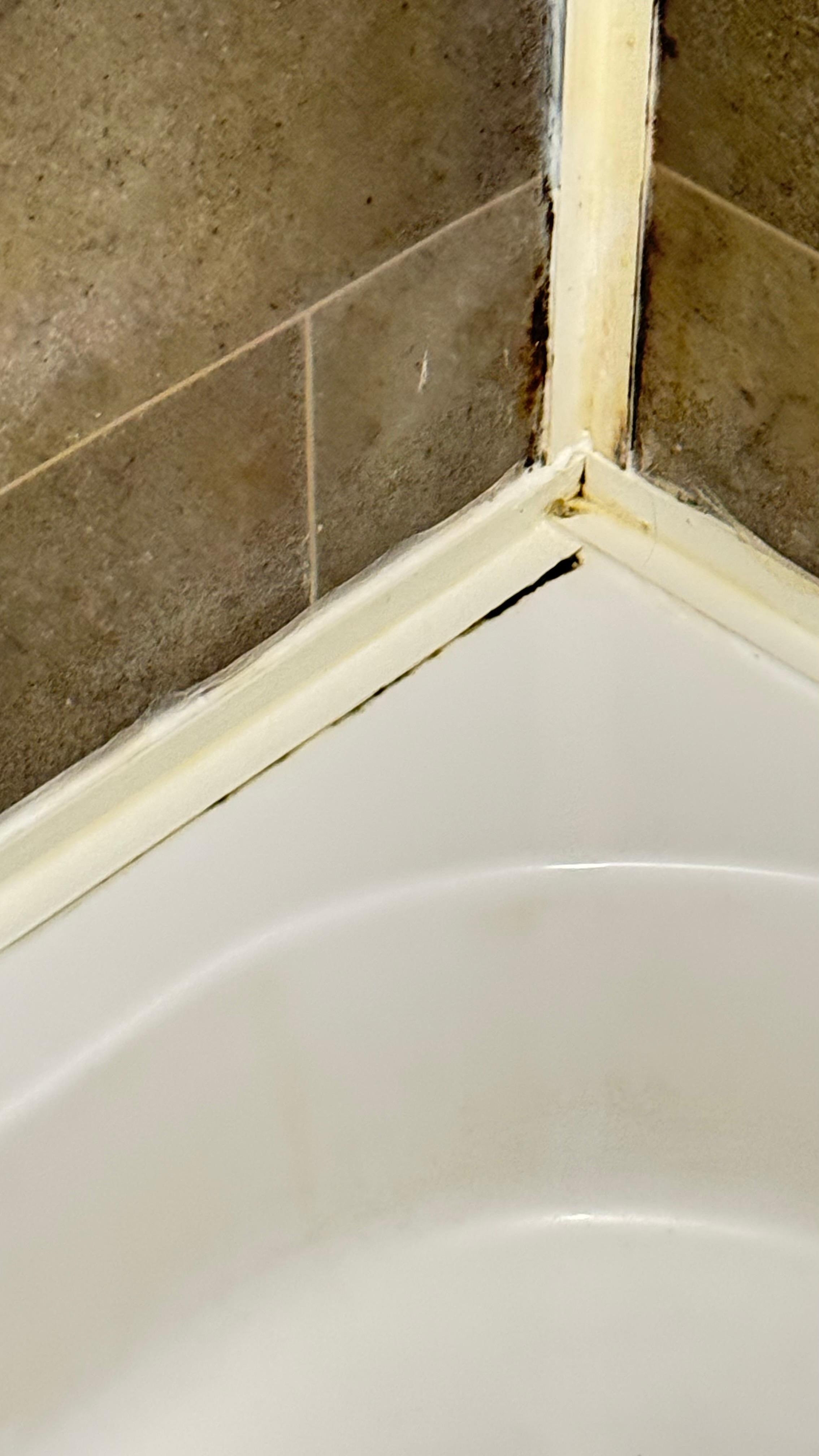 Auch die Dusche 