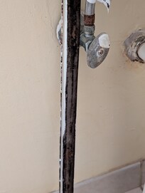The nasty trim piece that fell asleep off the shower door.
