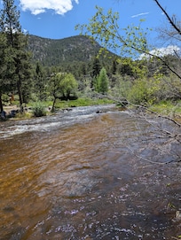 River behind the property