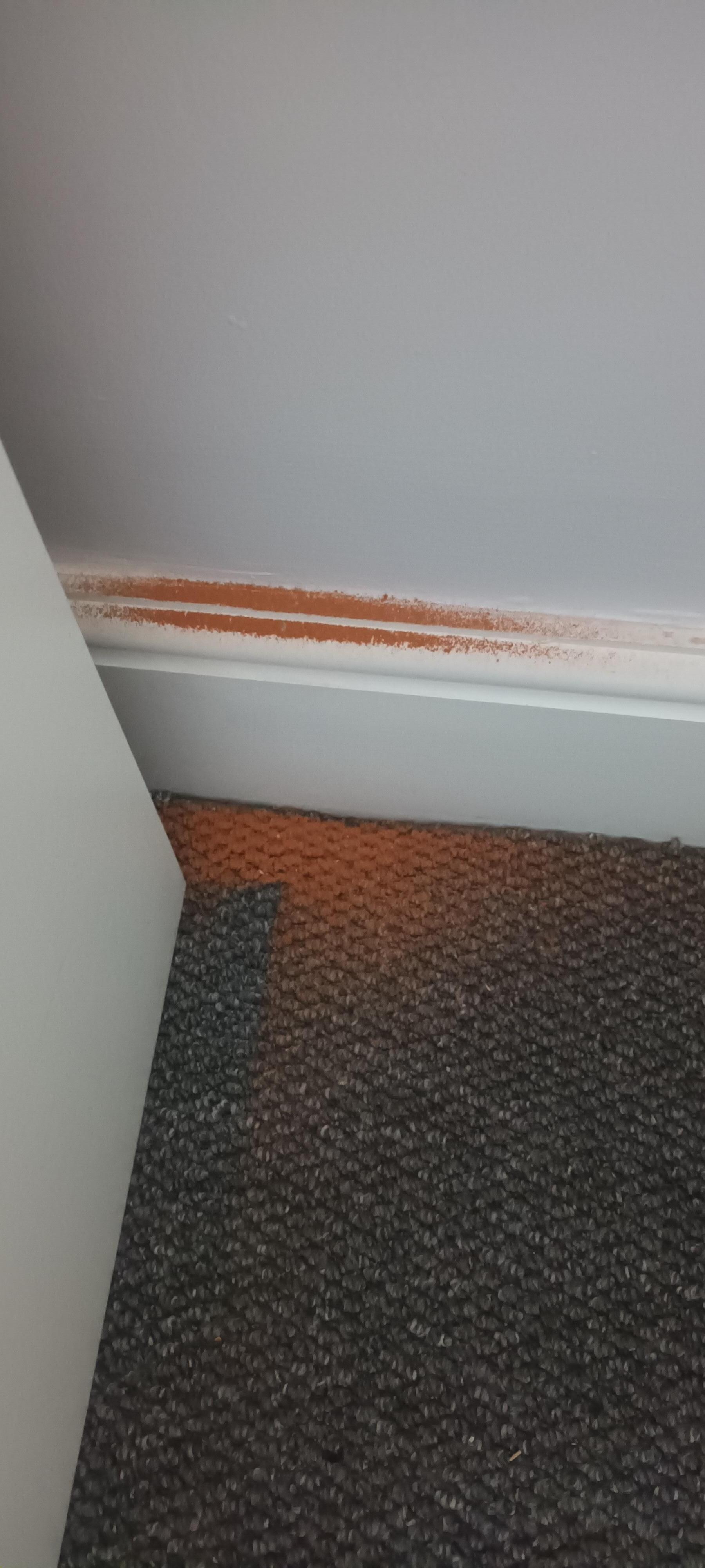 Weird red dust from bedroom 
