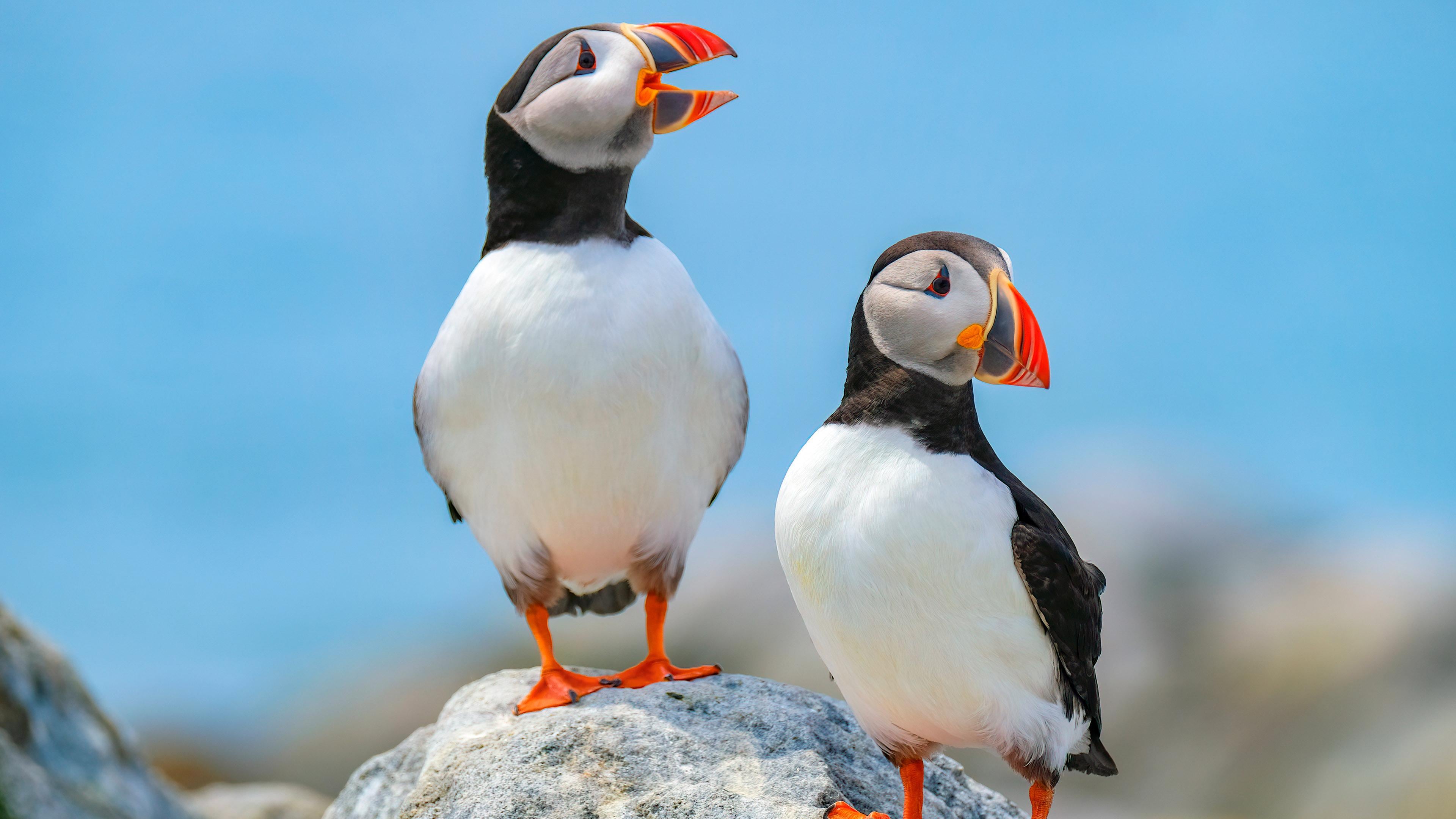 San Diego Bay was beautiful weather was 68 it was not too hot or cold just nice