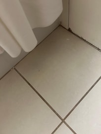 Hair on the floor