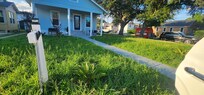 The unmowed yard