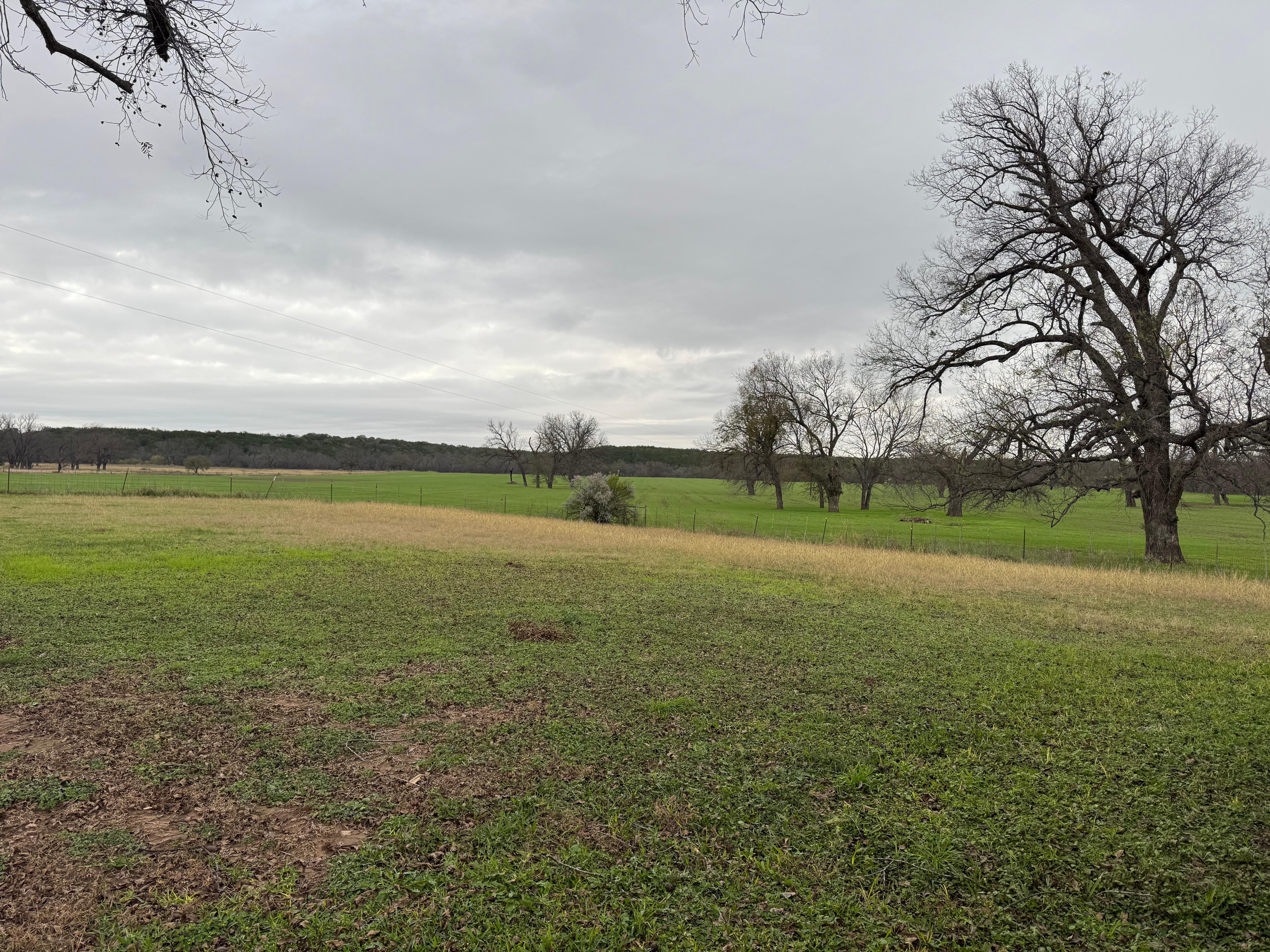 Nice and quiet location.