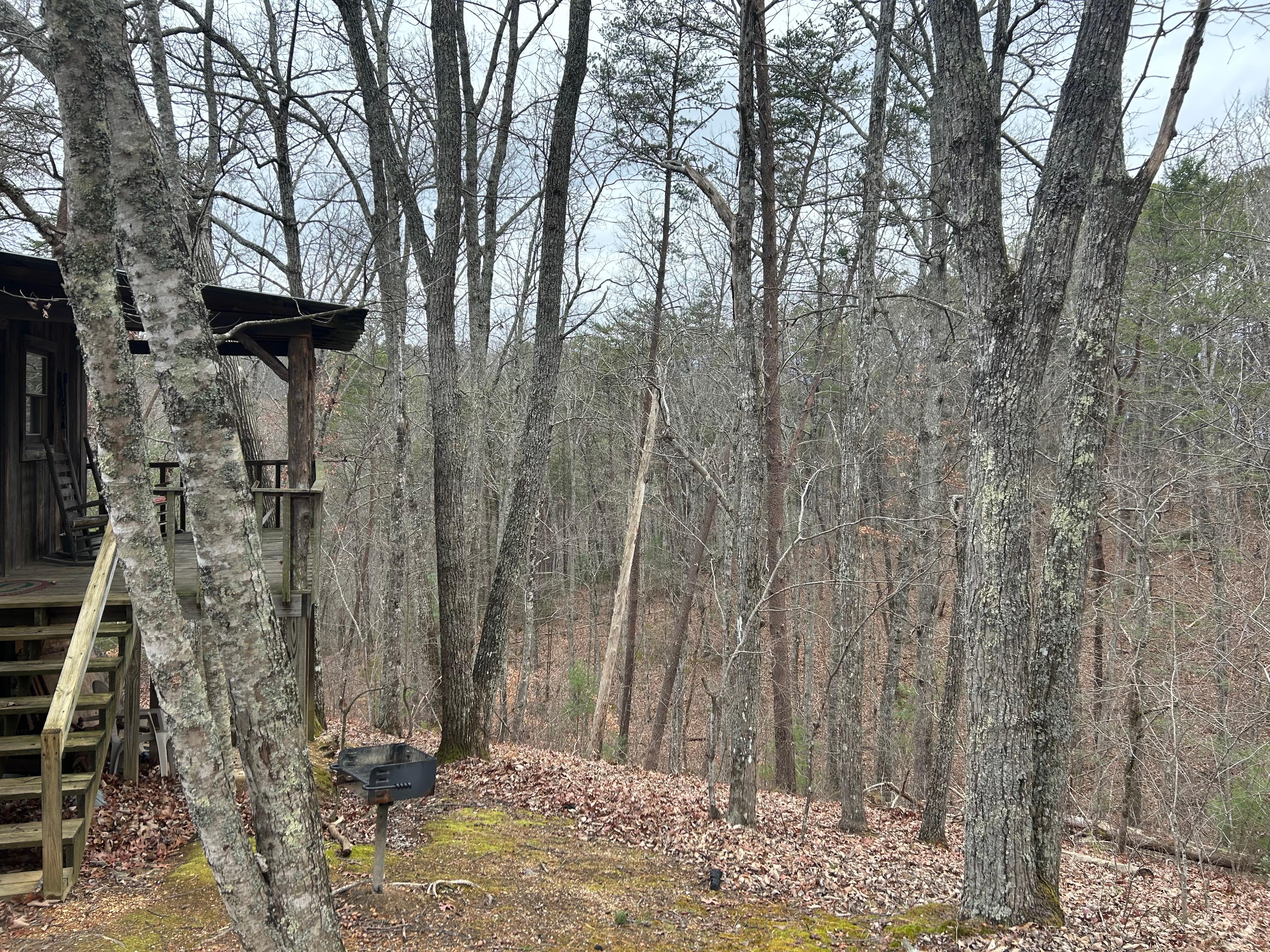 Looking out behind the cabin