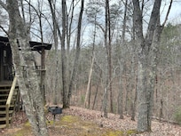 Looking out behind the cabin