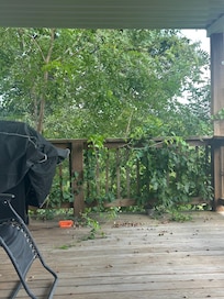 Needed some grooming