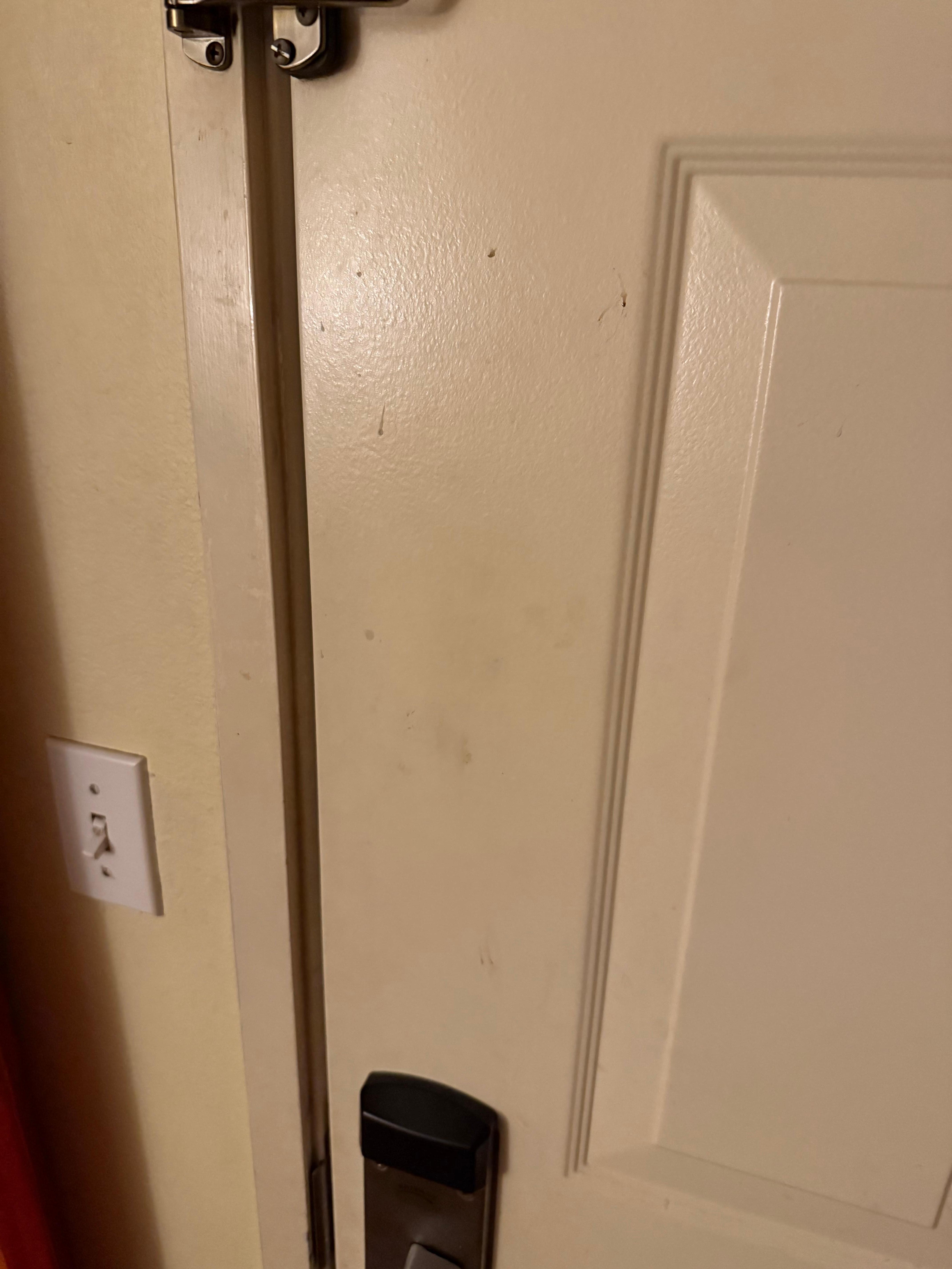 Front door was filthy with dirty smudges and fingerprints. 