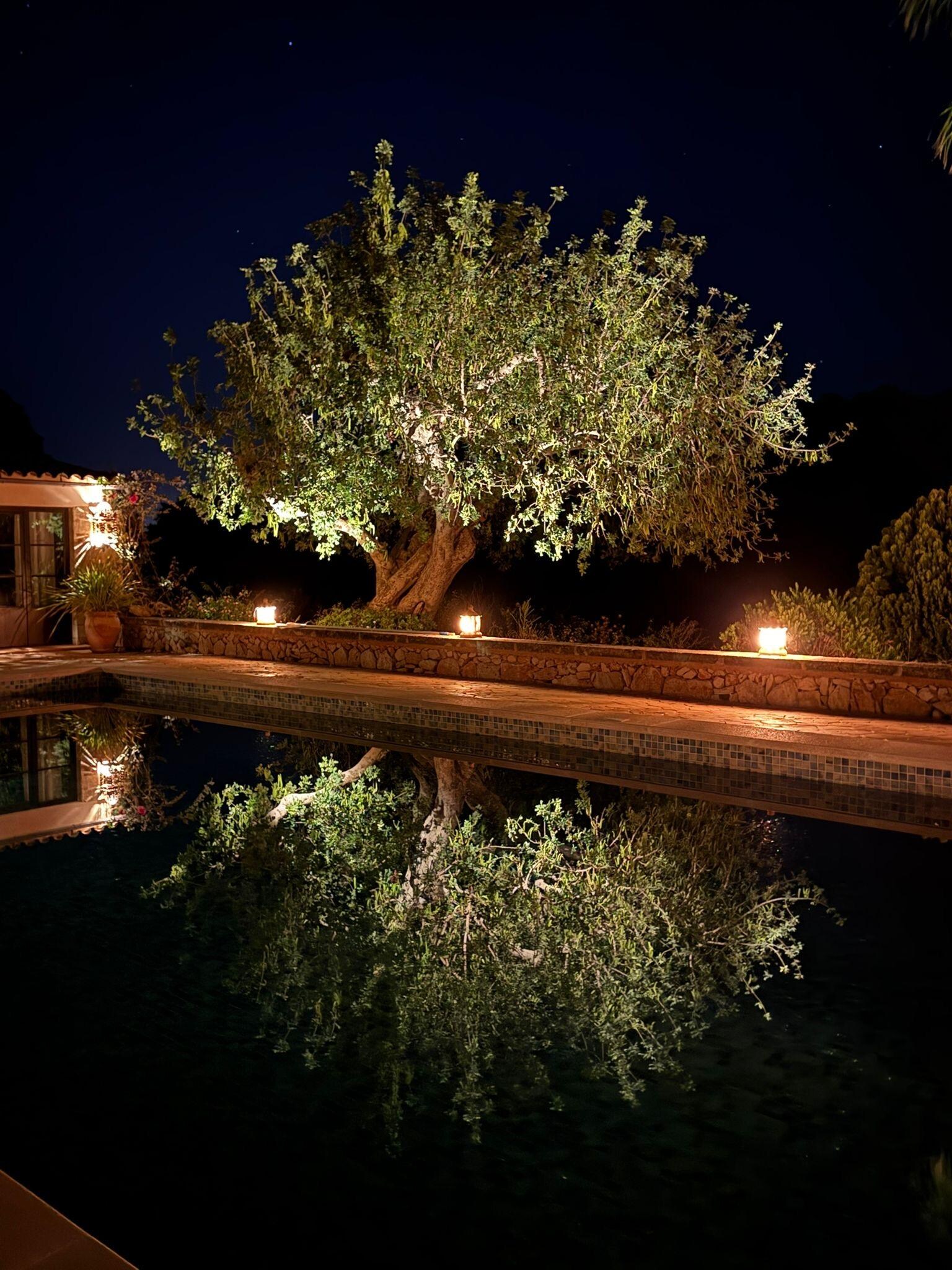 Traumhaftes Ambiente direkt am Pool
