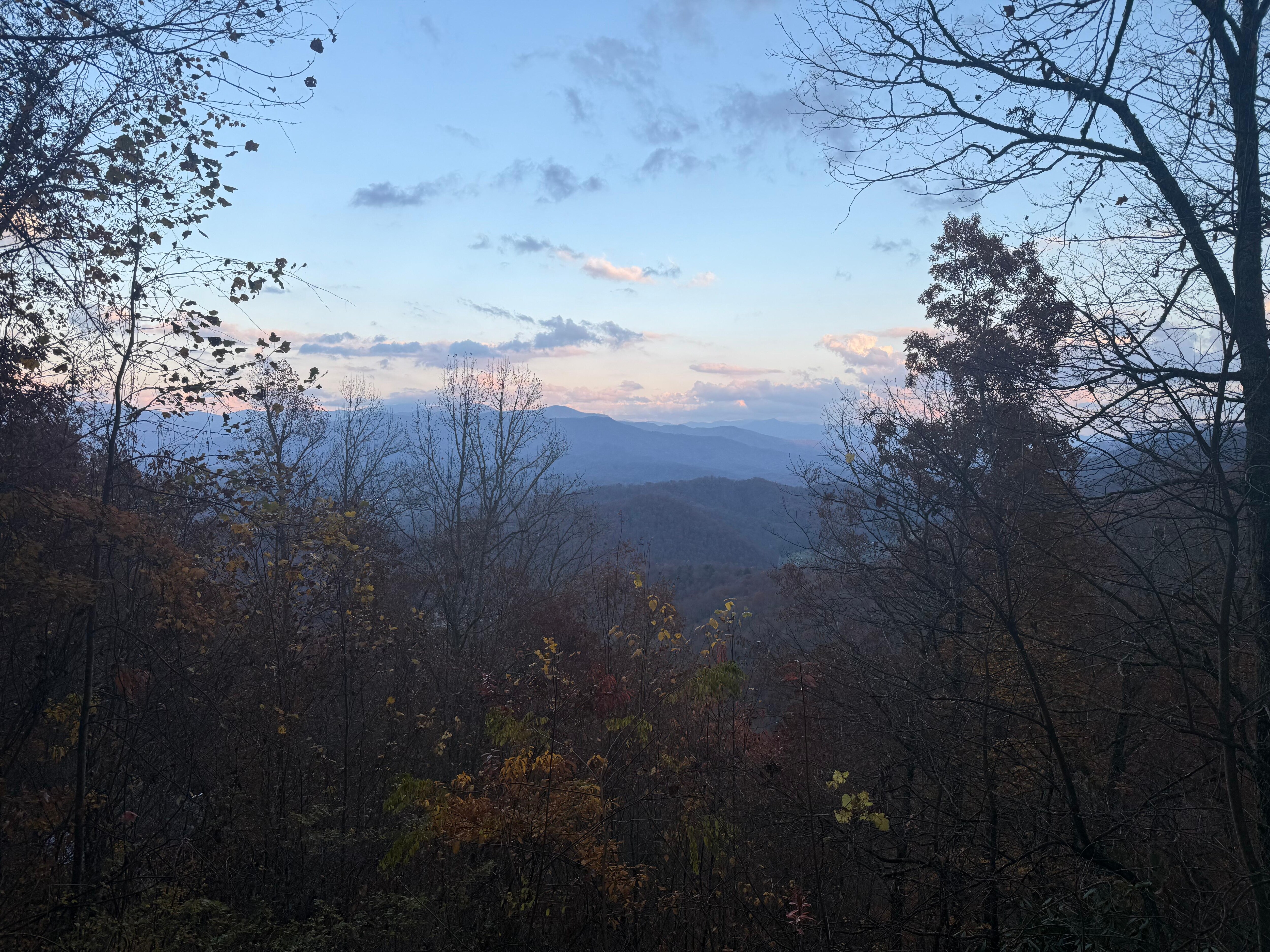 Early evening arrival