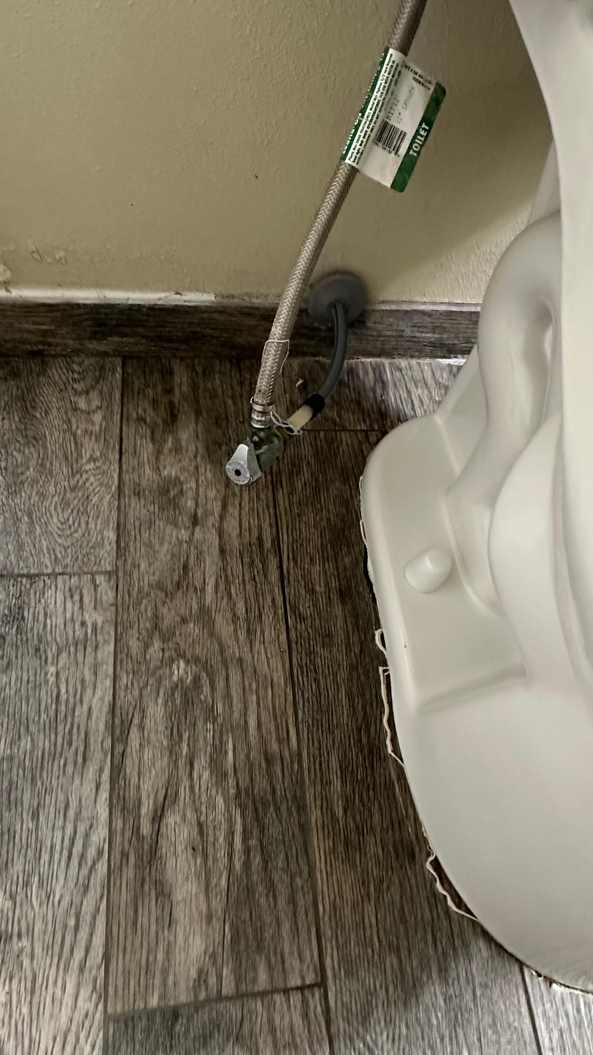 Definitely has some plumbing issues you have to hold down toilet handle to get it flush