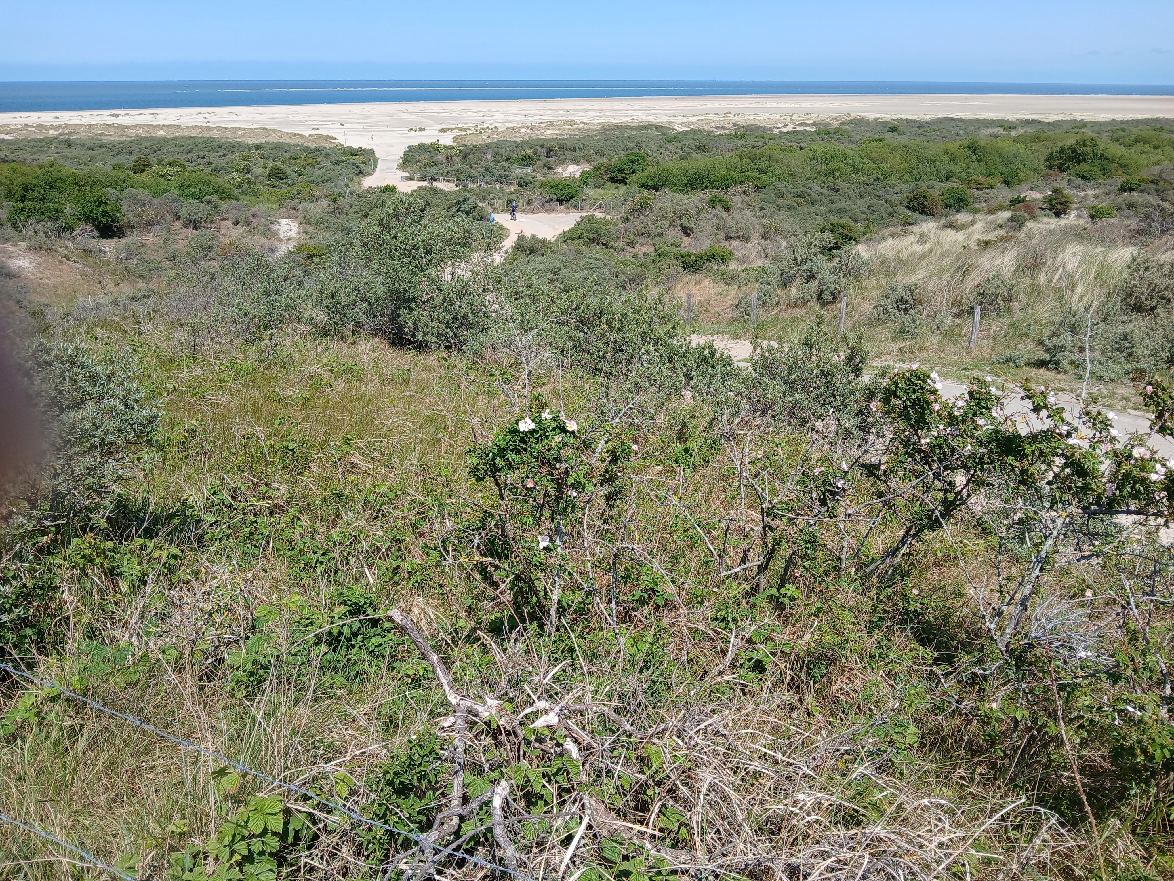 Radtour durch die Dünen 
