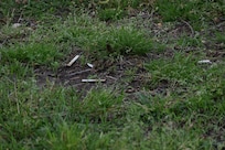 Cigarette butts all over the place