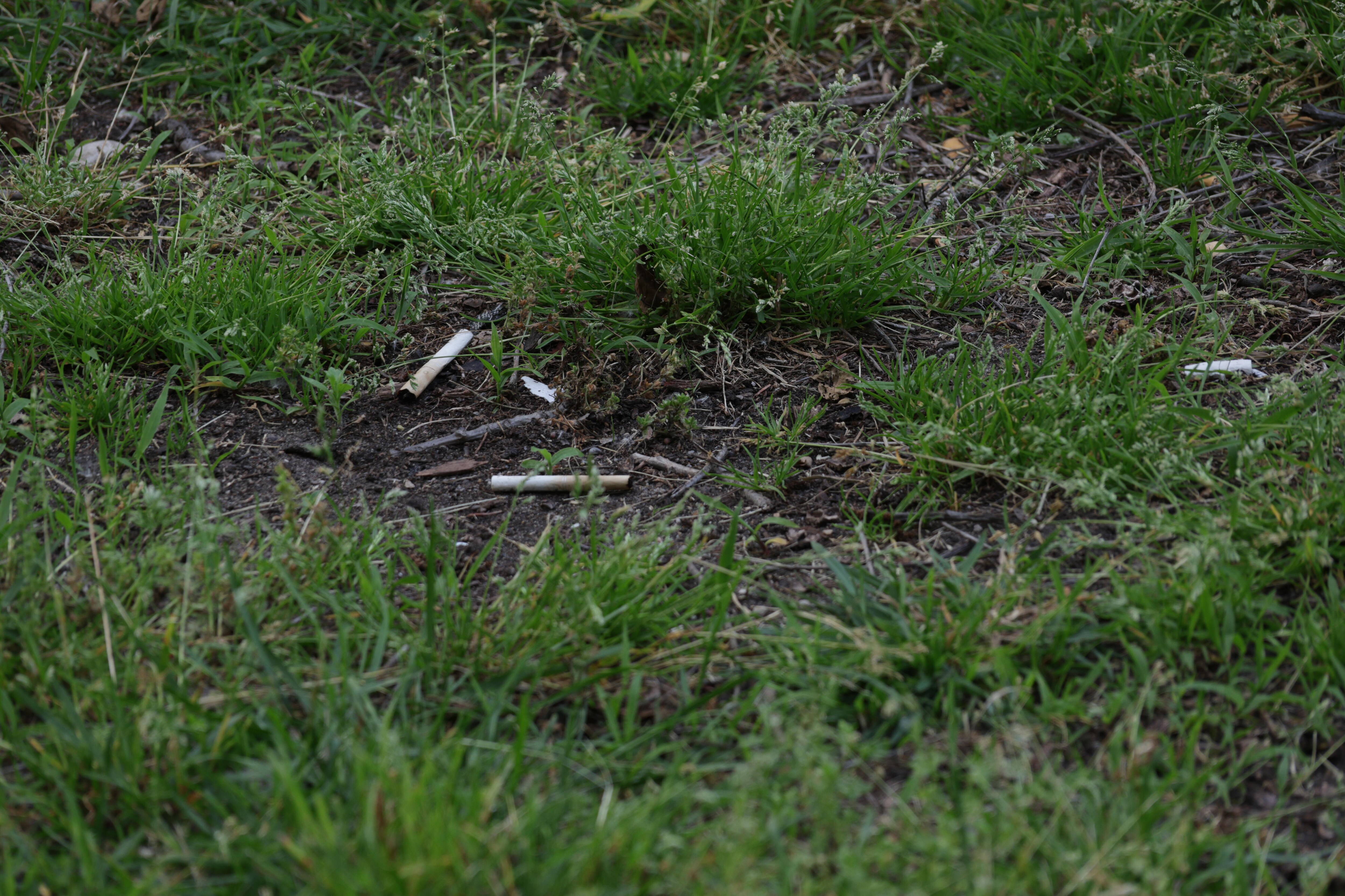 Cigarette butts all over the place