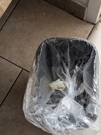 Used condom