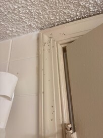 Mold in the bathroom (also on ceiling above shower because of lack of fan in bathroom)