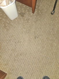 Stains and warped furniture