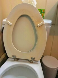 Toilet seat (cheap to replace!)