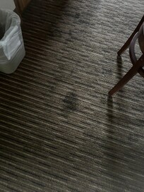 Large Carpet Stain in Suite