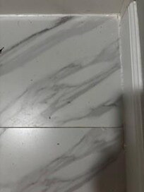 Bugs in bath