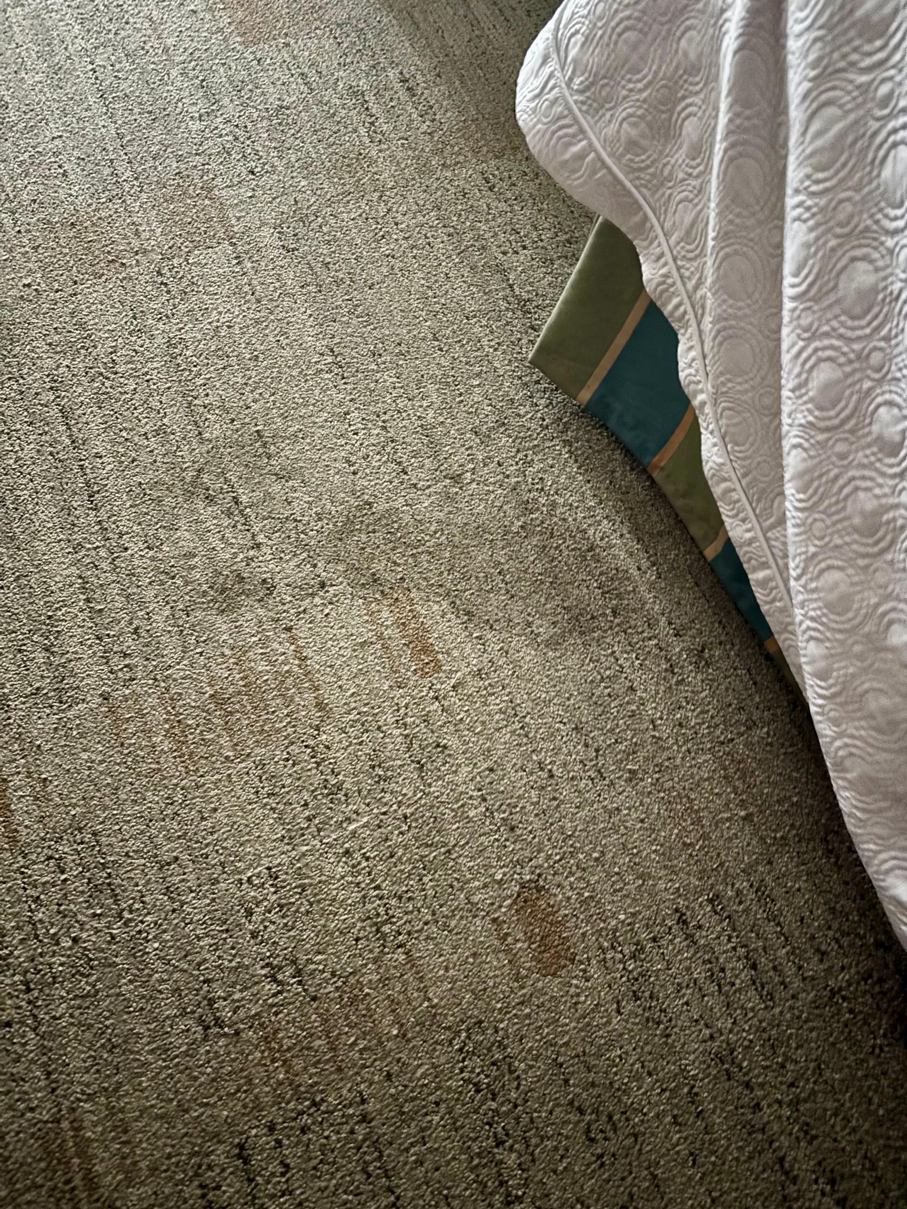 Stains on carpet all throughout room 