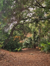 Beach path was really nice, we got some really great photos.