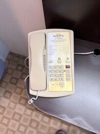 Stained phone, along with stain on carpet below the phone.