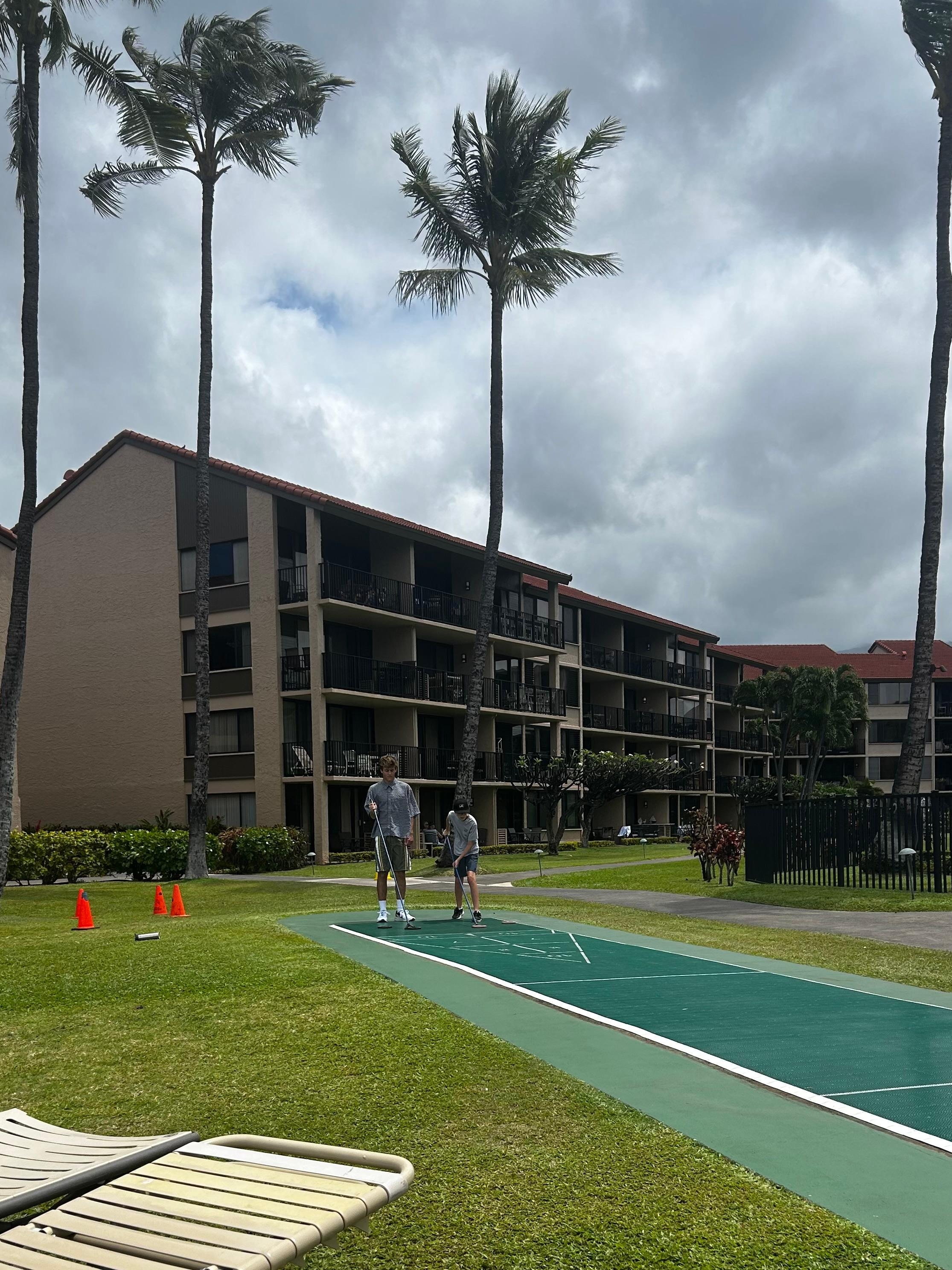 Shuffle board everyday
