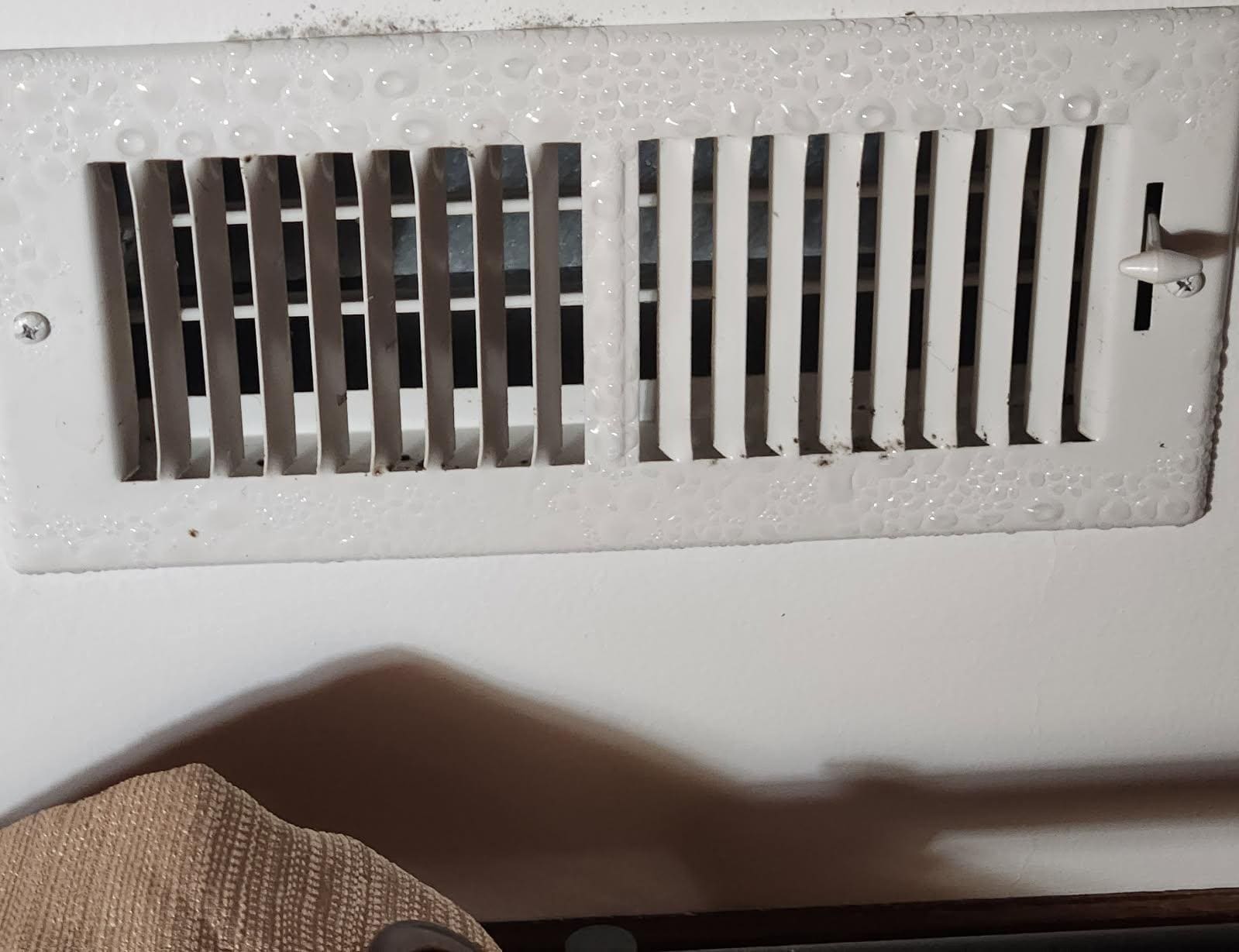 Condensation on vent with what looks like mold growth. 