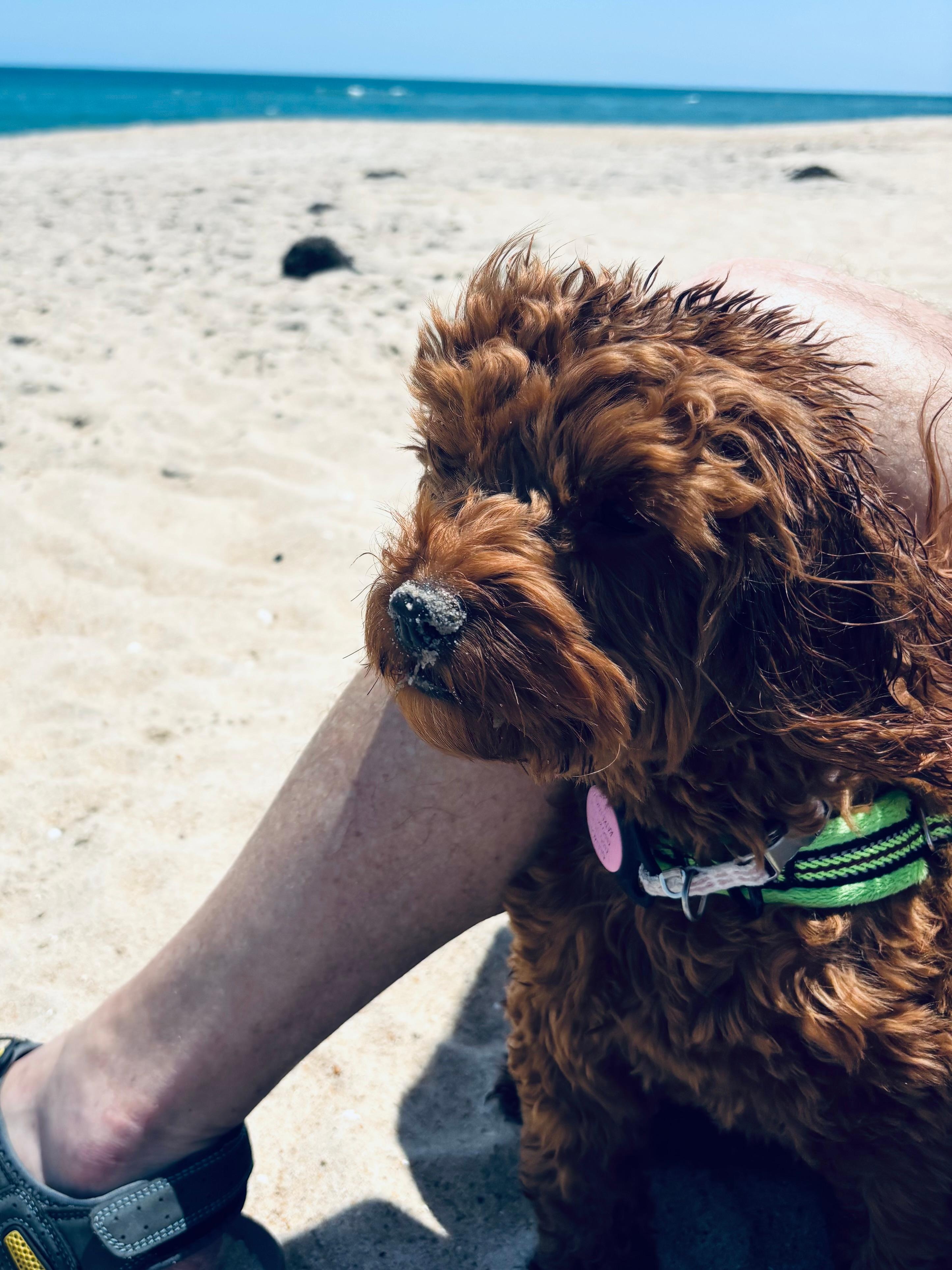 Clemons loved the beach.