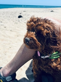 Clemons loved the beach.