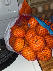 Roaches crawling on a bag of oranges.