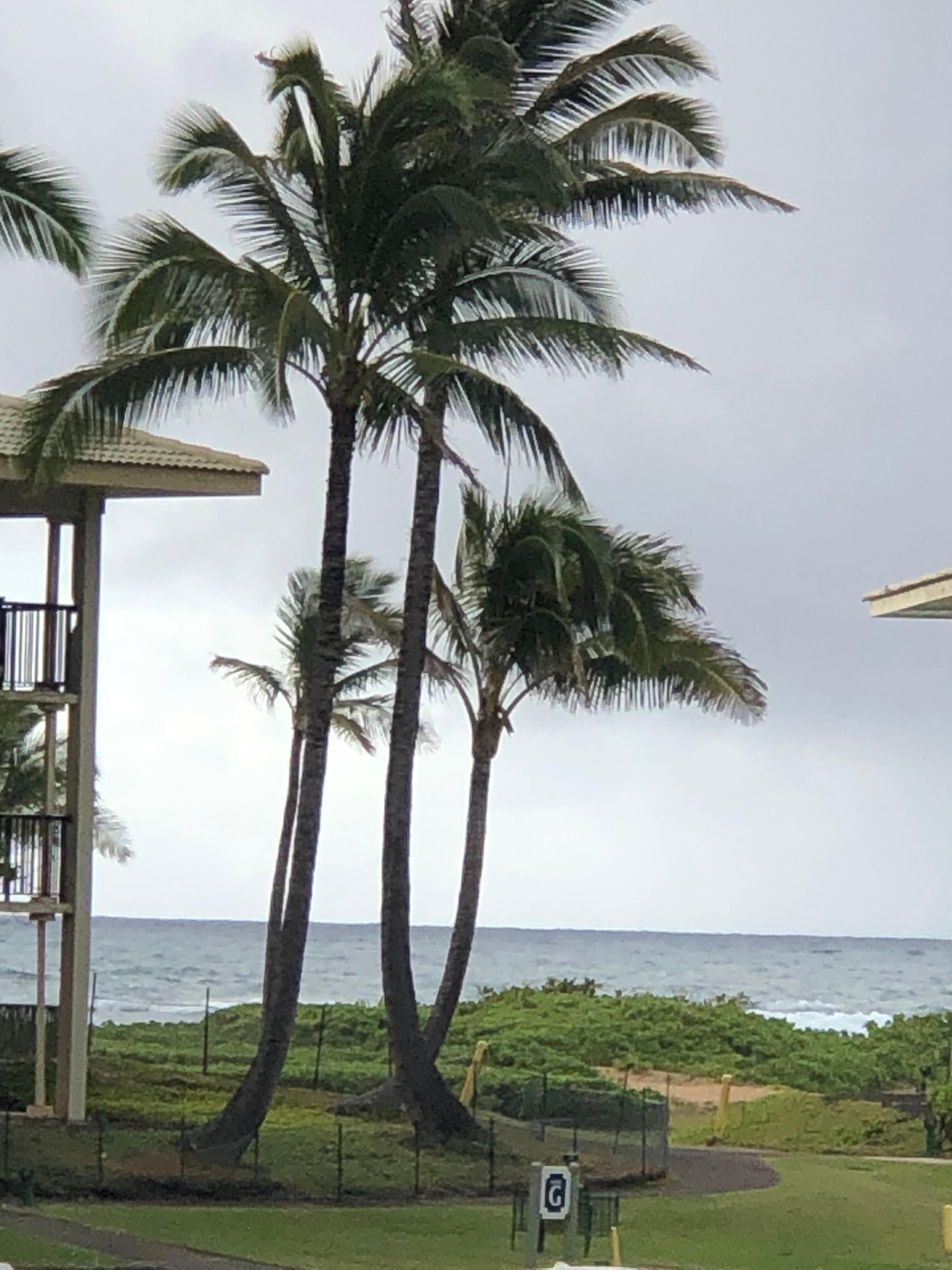 Zoomed in view of the ocean from unit’s deck.