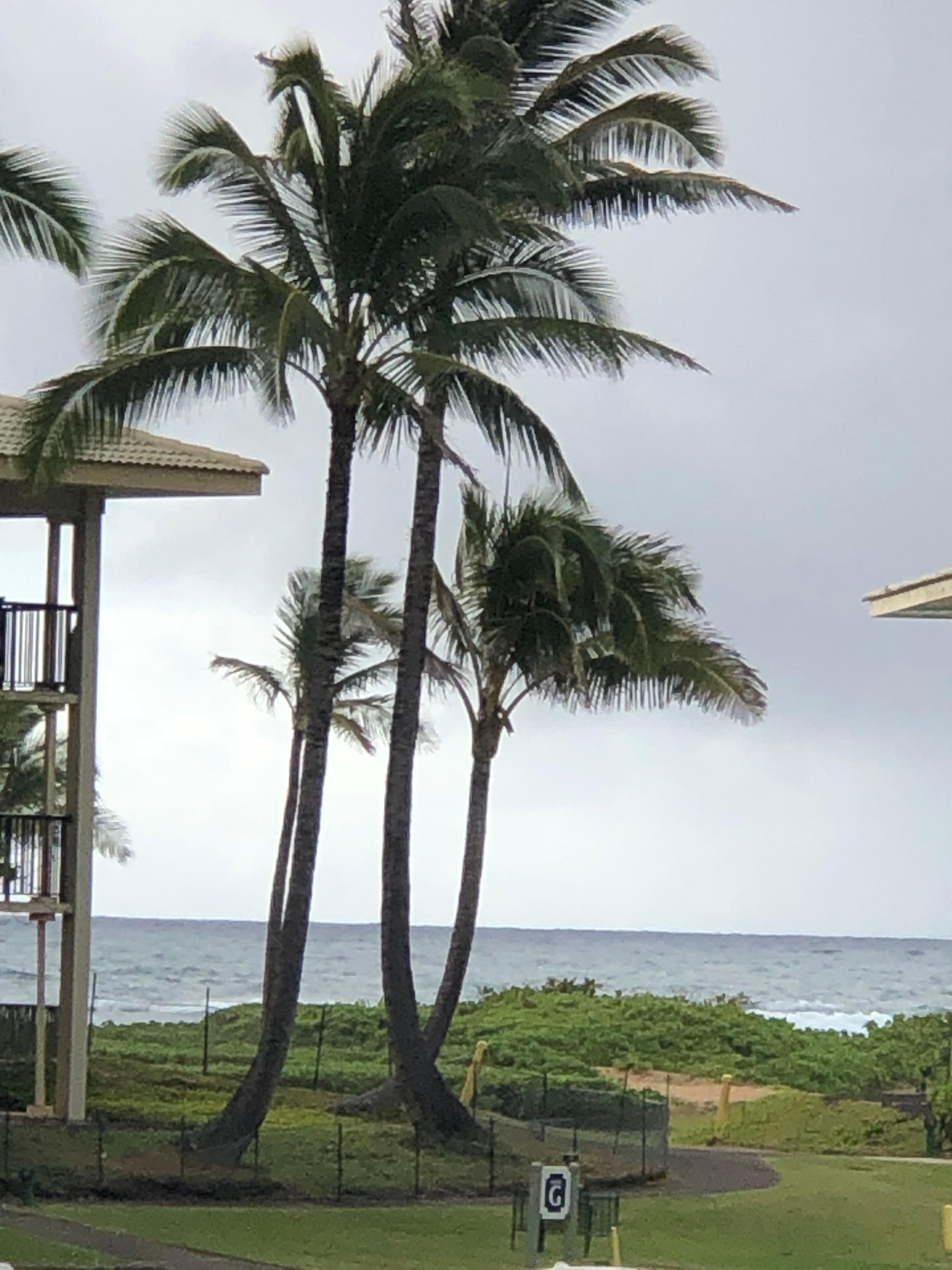 Zoomed in view of the ocean from unit’s deck.