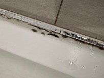 Mold in the door track