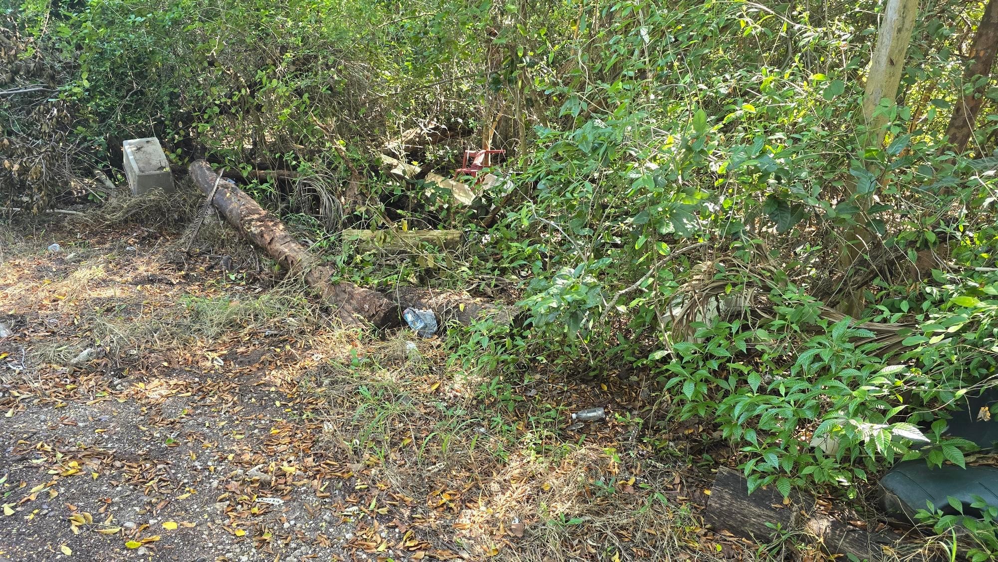 Garbage dumped along the road leading into the campground.