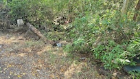 Garbage dumped along the road leading into the campground.