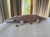 Every day housekeeping would leave us fun towel art - this one was my fav.