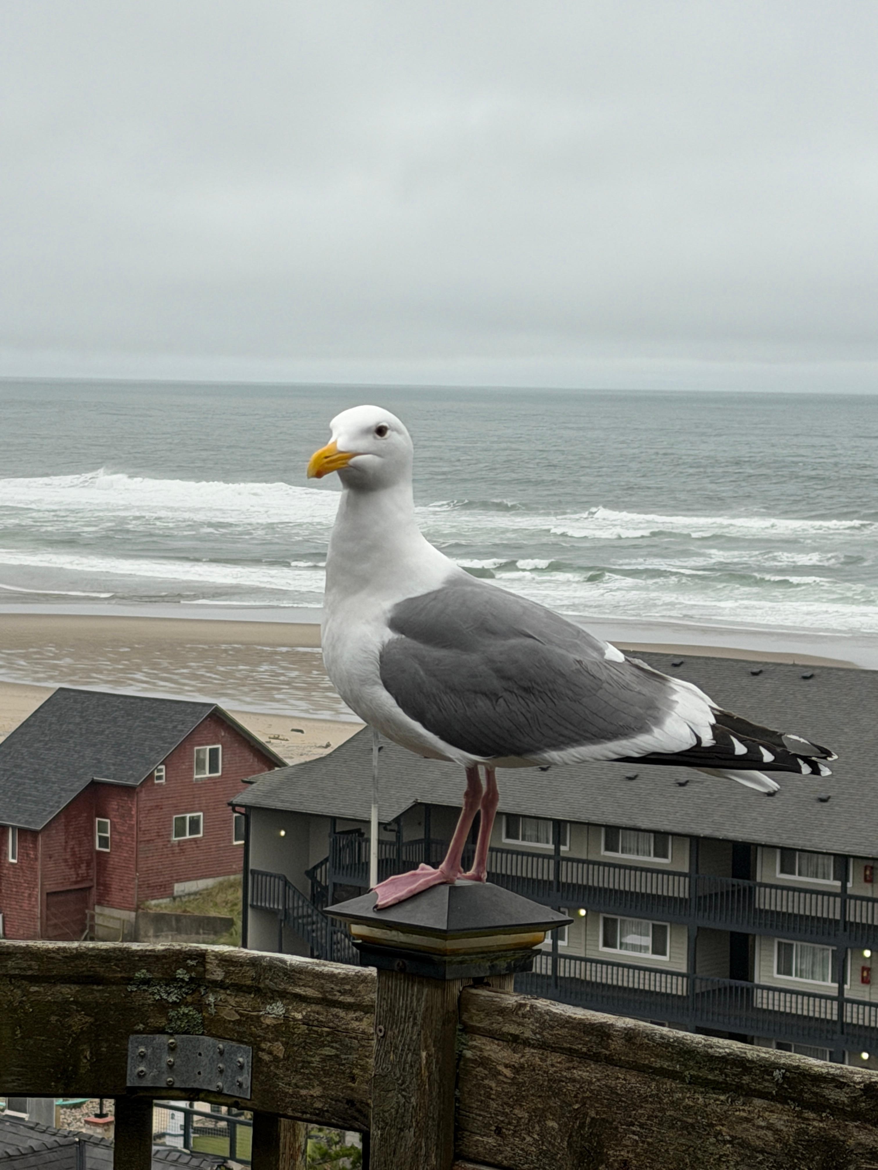 View from the upper deck. 