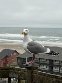 View from the upper deck.
